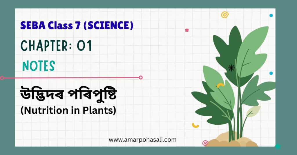 SEBA Class 7 Science Chapter 1 Notes: উদ্ভিদৰ পৰিপুষ্টি