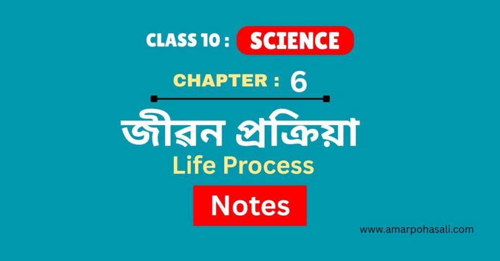 SEBA (ASSEB) Class 10 Science Chapter 6 Notes : জীৱন প্রক্রিয়া - Assamese Medium